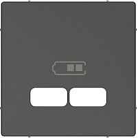 Лицевая панель Schneider Electric Merten System M для 2-м. розетки USB антрацит картинка